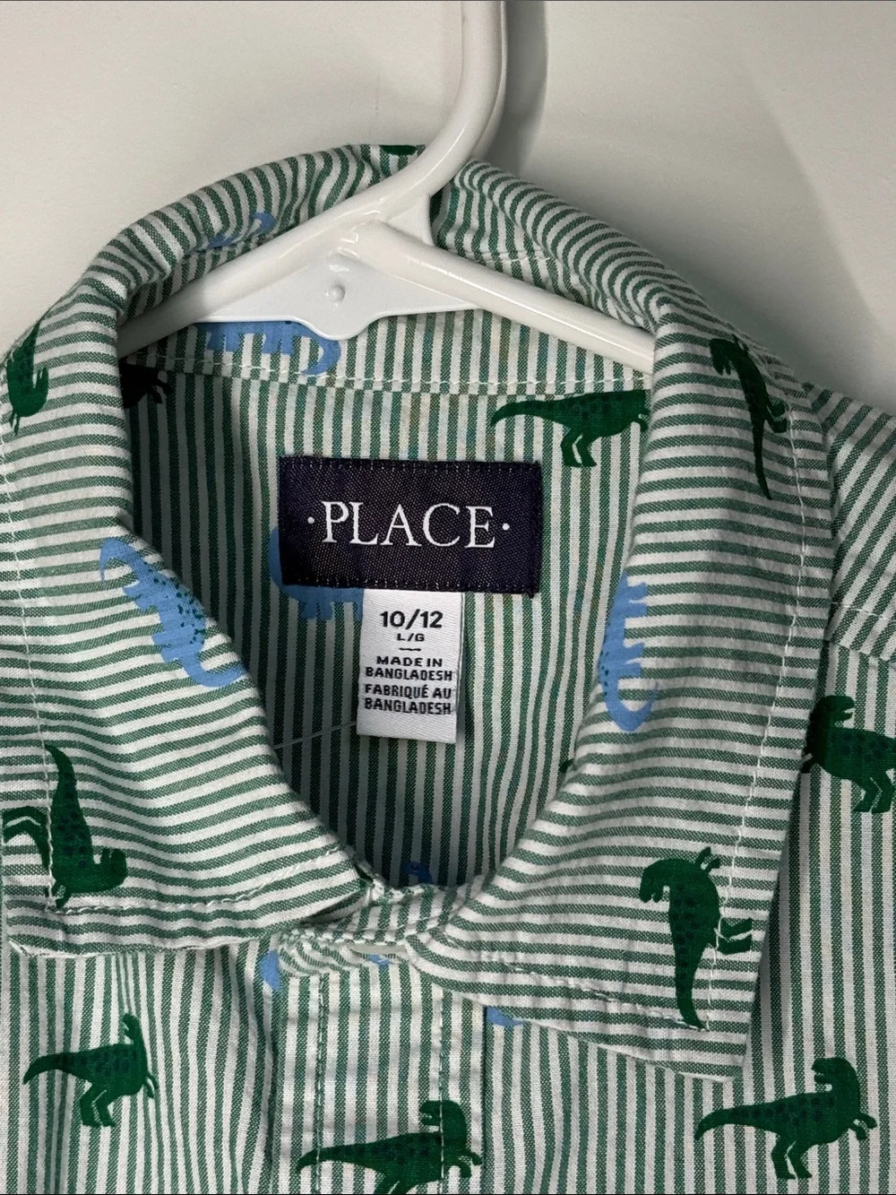 The Children's Place Green & Blue Striped Button-Down Shirt with Dino Print